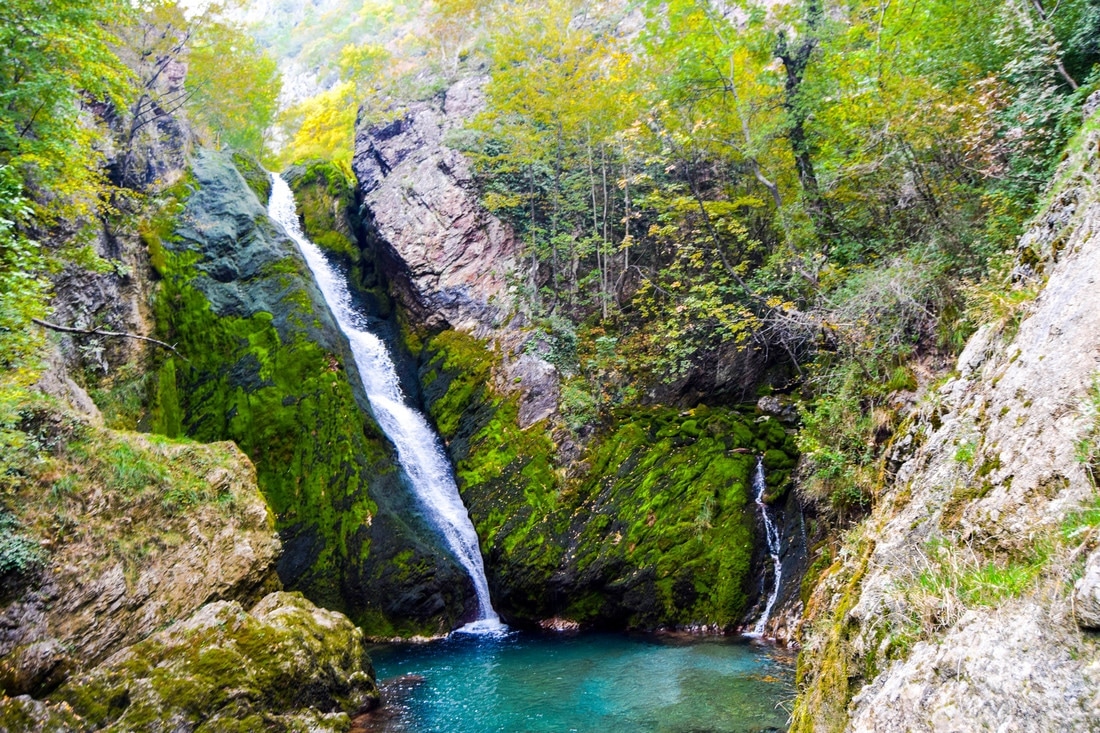 Peja photo