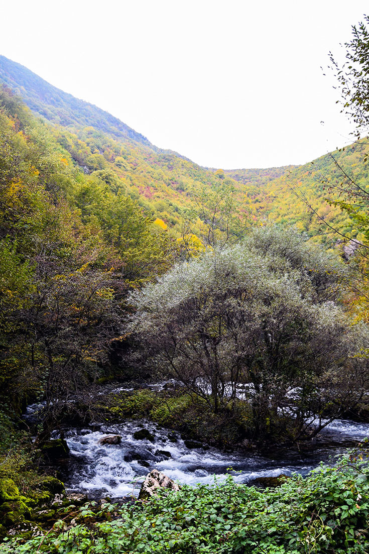 Peja photo